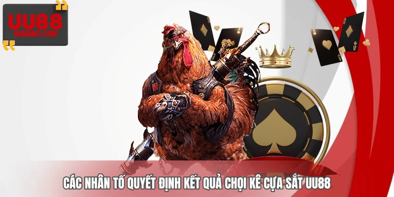 Các nhân tố quyết định kết quả chọi kê cựa sắt UU88 Các nhân tố quyết định kết quả chọi kê cựa sắt UU88