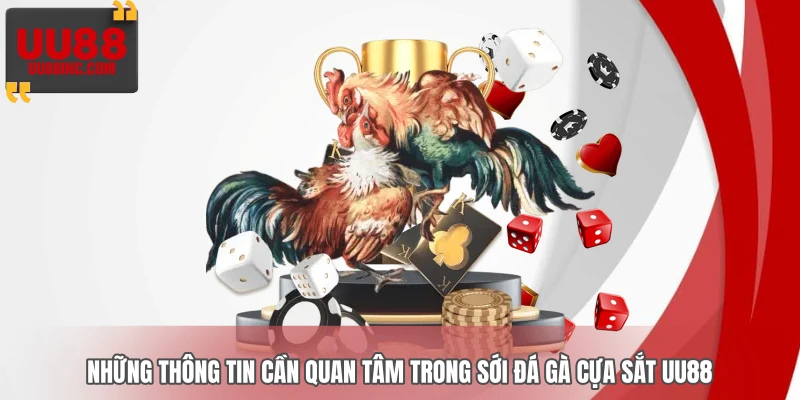 Những thông tin cần quan tâm trong sới đá gà cựa sắt UU88 Những thông tin cần quan tâm trong sới đá gà cựa sắt UU88
